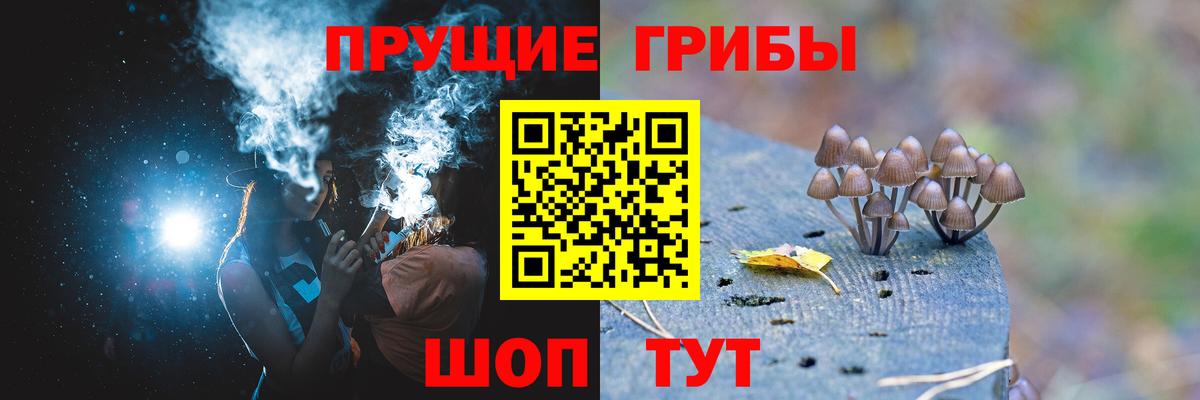 Галлюциногенные грибы Psilocybe  Вход с VPN  Когалым 